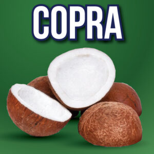 Copra: Premium Dried Copra - The Foundation of Quality Coconut Products